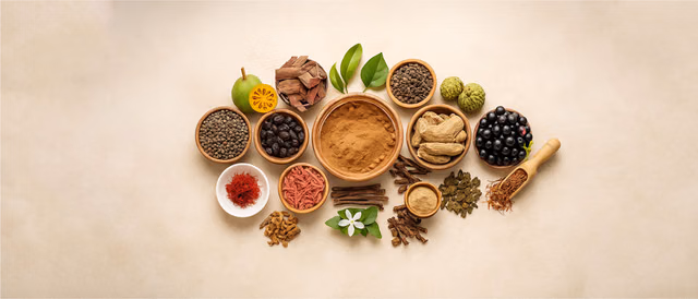 Ayurvedic management of menorrhagia